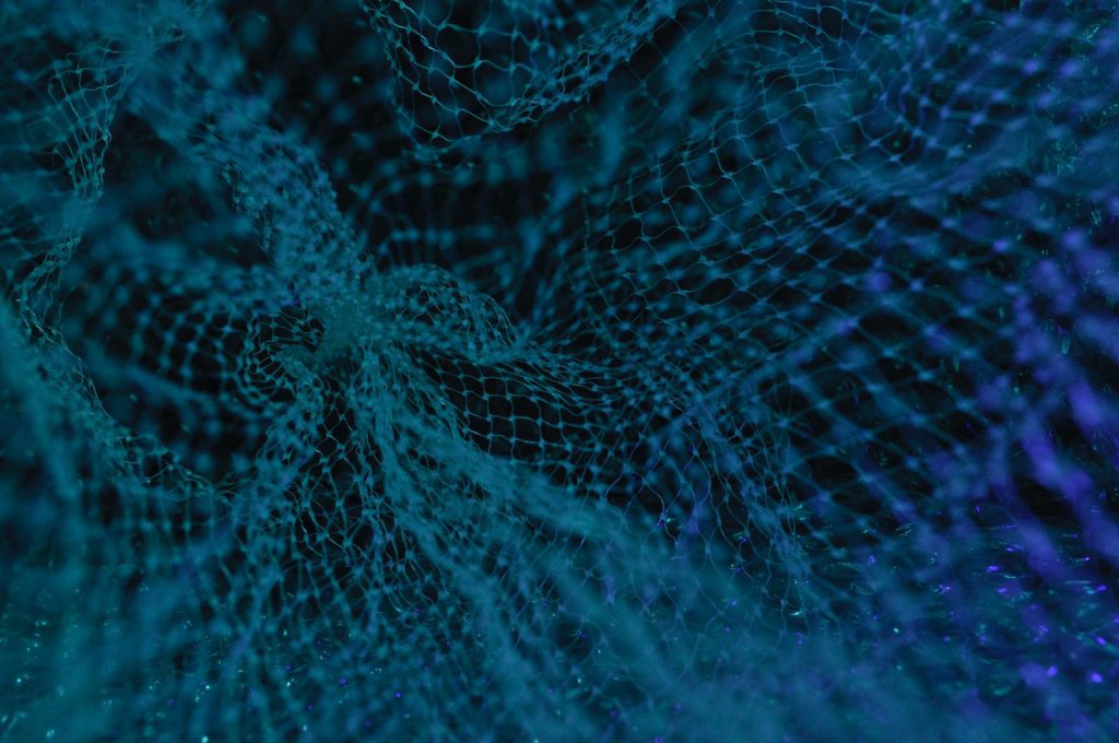 What is meant by intellectual property and why is it an important issue today? Image of a fishing net, blue on an black background.