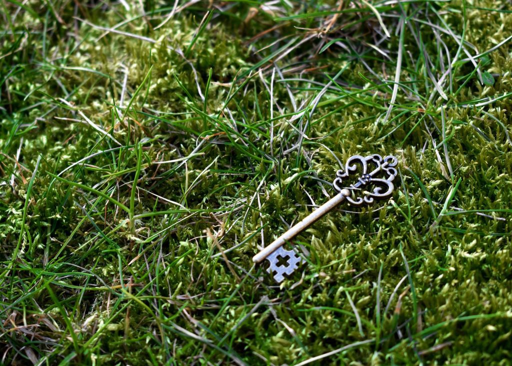 Image of an antique key on some grass 